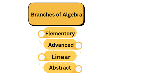 what are the branches of algebra?