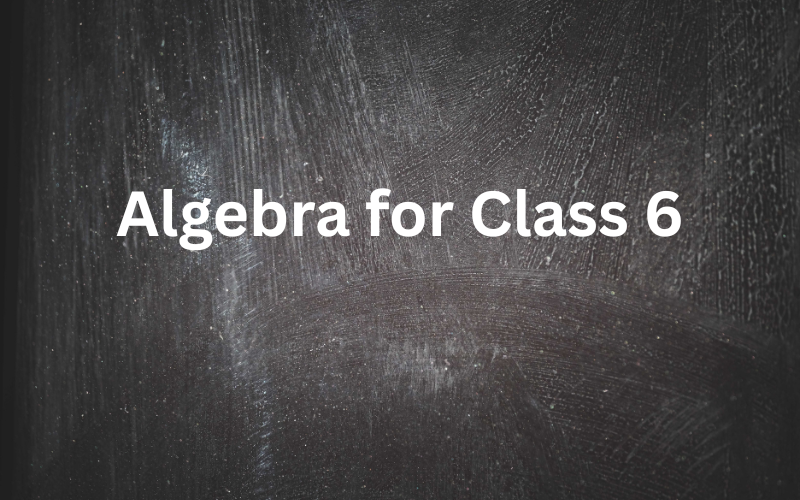 “Algebra for Class 6 — Basics, Rules, Formulas & Examples”