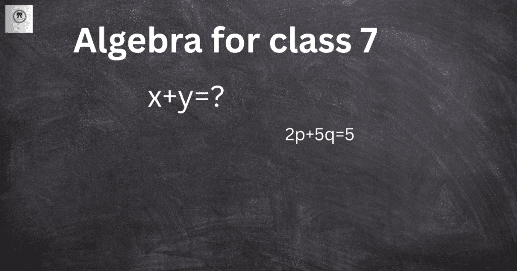 Basics of algebra for class 7 with step-by-step solutions