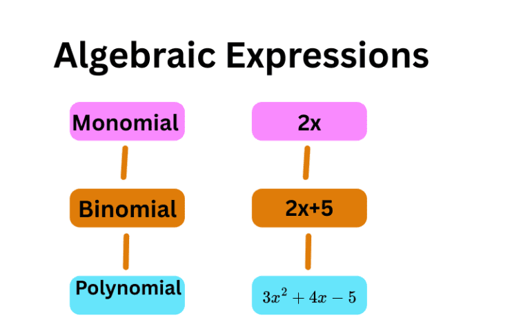 How to Solve Algebraic Expressions Step by Step for Beginners
