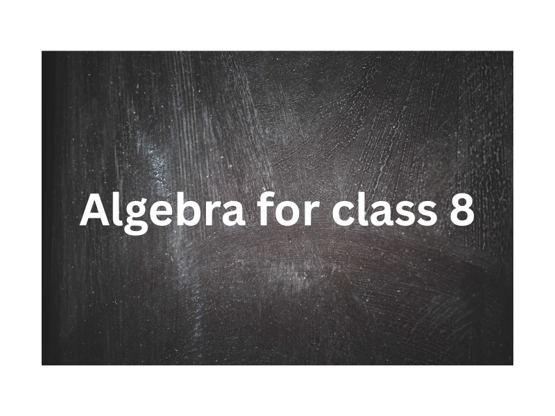"Simple explanation of algebra equations for class 8 students"