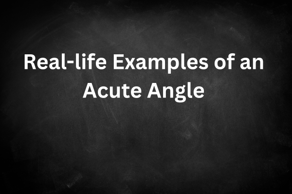 10 Real-life-example-of-acute-angles