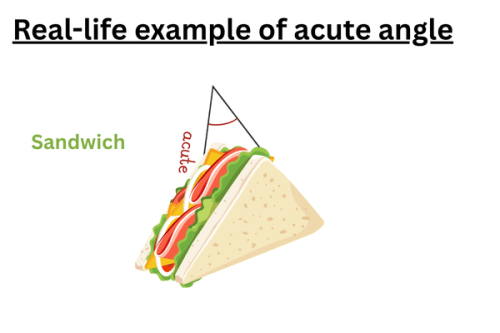acute-angle-in-sandwiches