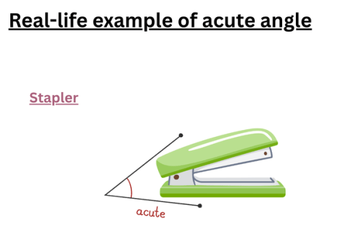 example-of-acute-angle-in-stapler