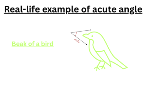 example-of-an-acute-angle