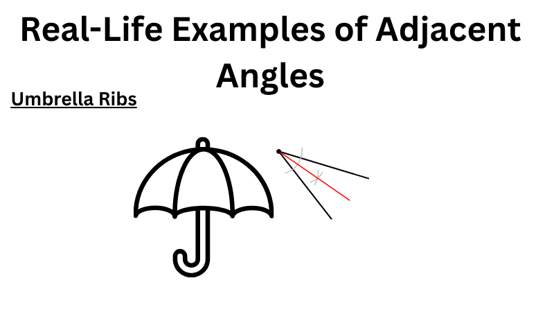 Adjacent-angles-formed-by-the-ribs-of-an-open-umbrella