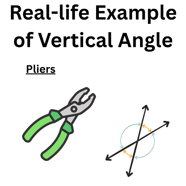 pliers-are-the-exanple-of-vertical-angle