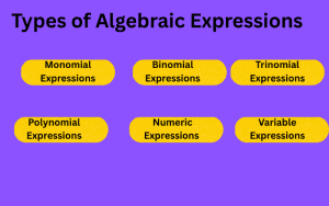 what are the types of alebraic expressions?