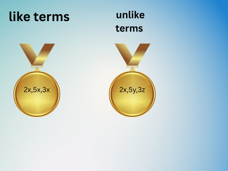 Basics of algebra for class 7 with step-by-step solutions