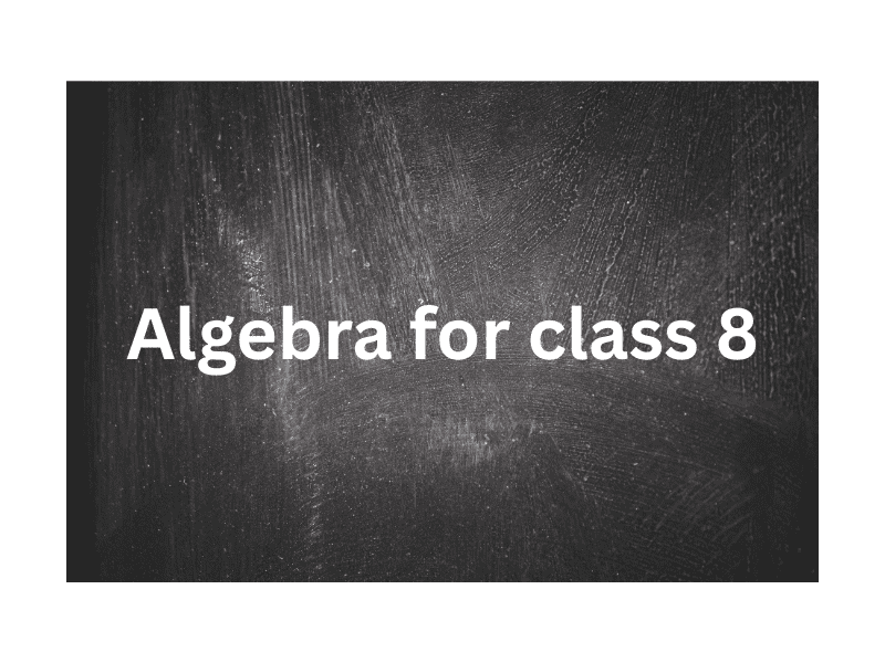 "Simple explanation of algebra equations for class 8 students"